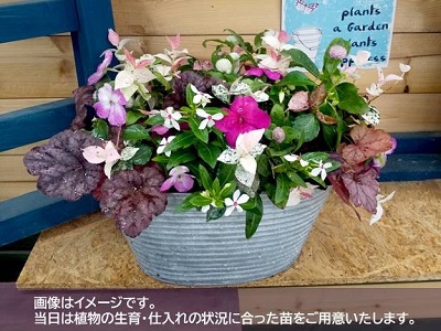 シックを楽しむ秋色寄せ植え