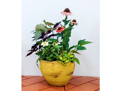 秋の園芸「アンティーク寄せ植え」