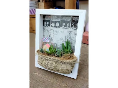 初夏の園芸「多肉写真立て」