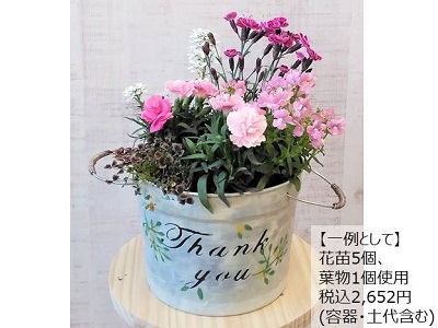 春の園芸「ブリキ風バケツの寄せ植え」