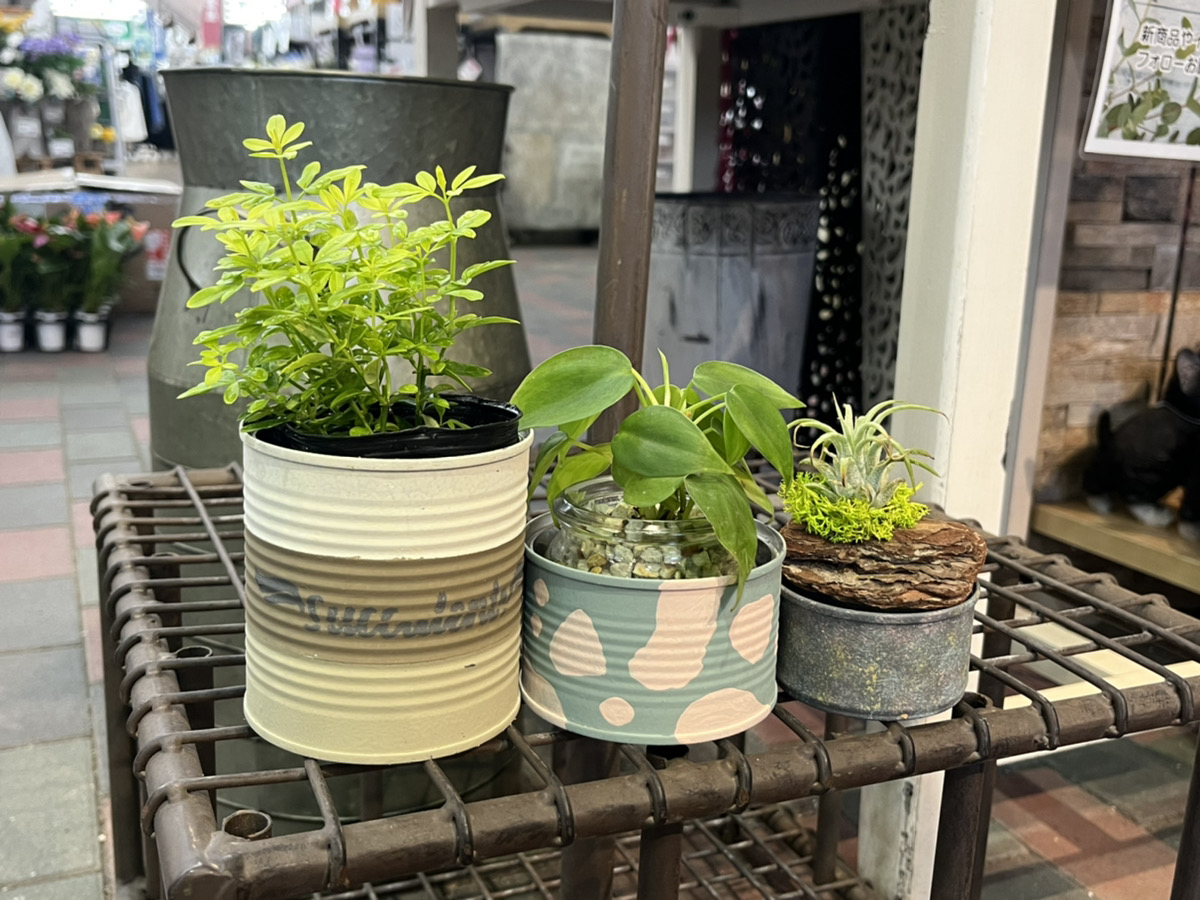 空き缶リメイク