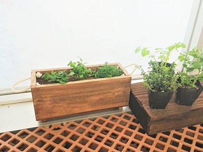 小さな菜園づくり「ハーブの窓辺プランター」