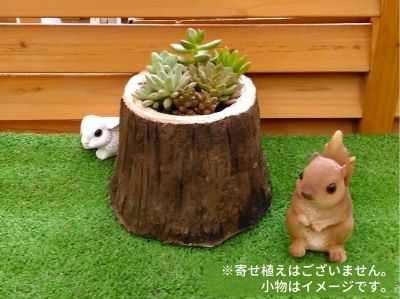 ペイントDIY「モルモルで園芸鉢づくり」