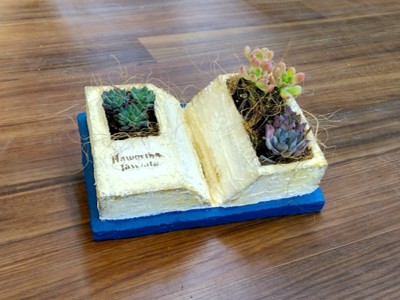 ペイントDIY「モルモルで園芸鉢づくり」