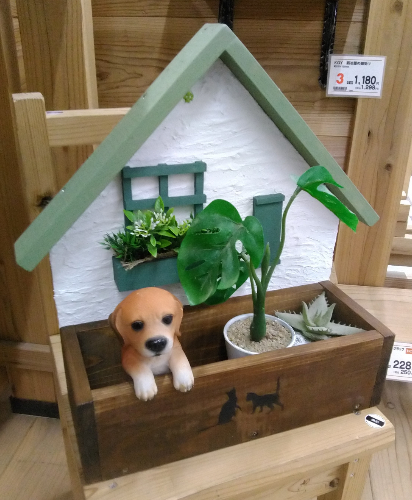 作品画像