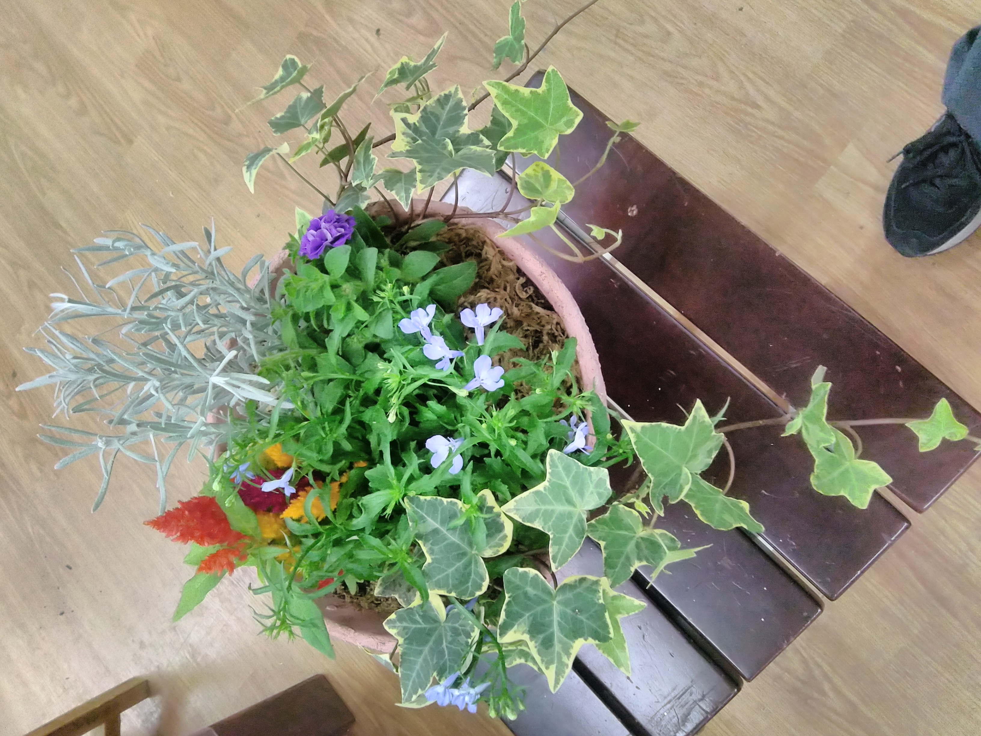 作品画像