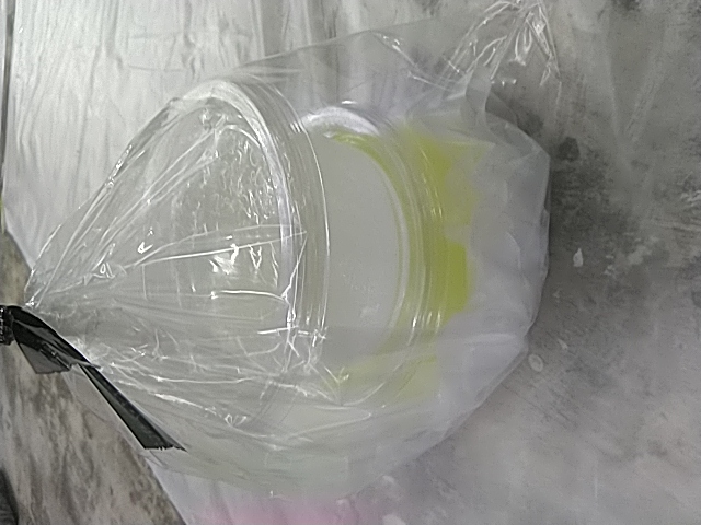 作品画像