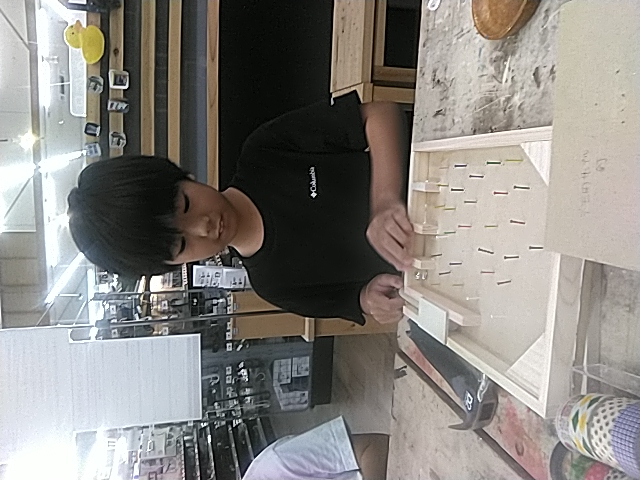 作品画像